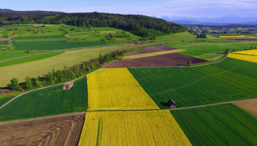 Changing Consumer Preferences and its Impact on Farmers
