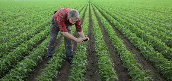 Farmer engagement platform